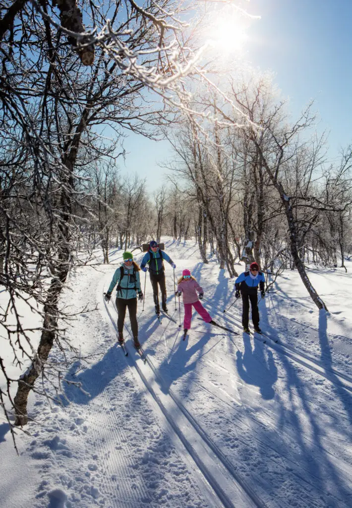 Längdåkning Roger Borgelid Funäsfjällen