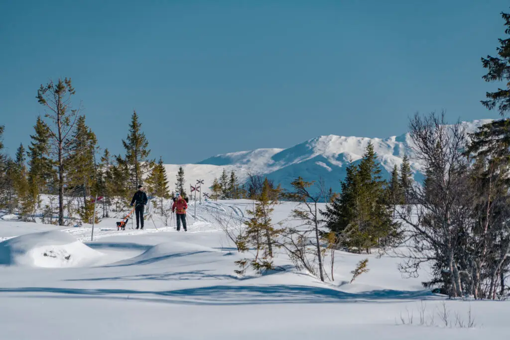 Trillevallen Mats Lind