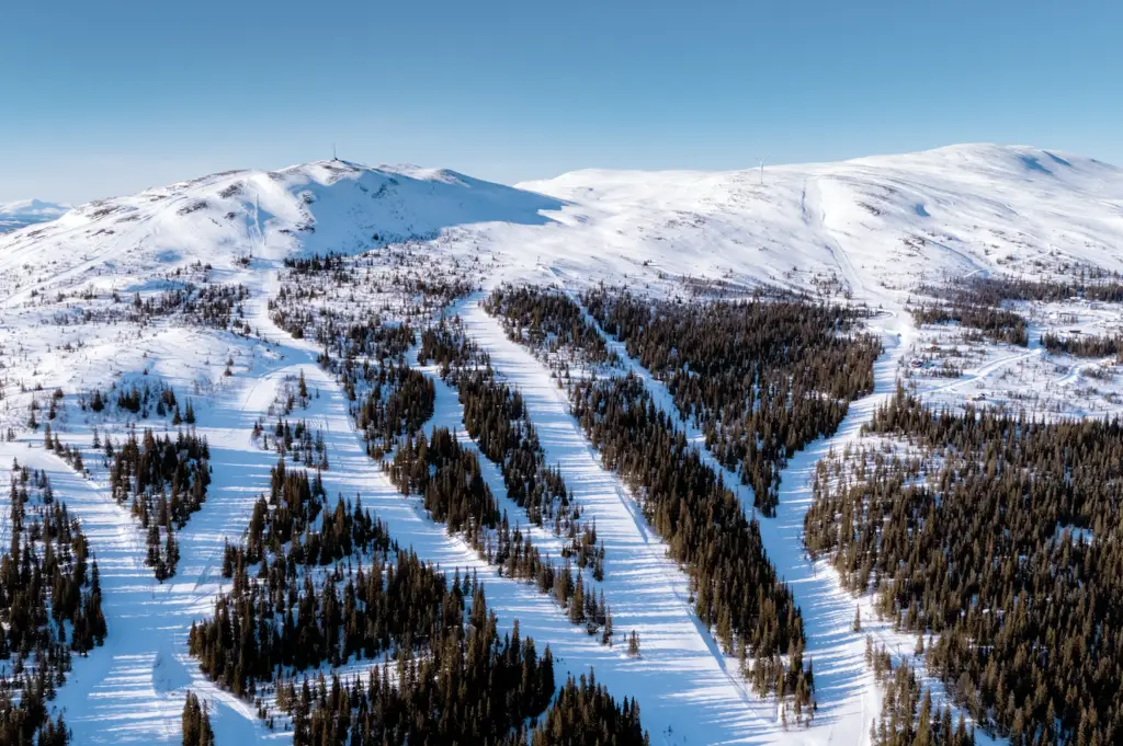 Bydalsfjällen J Sjöman