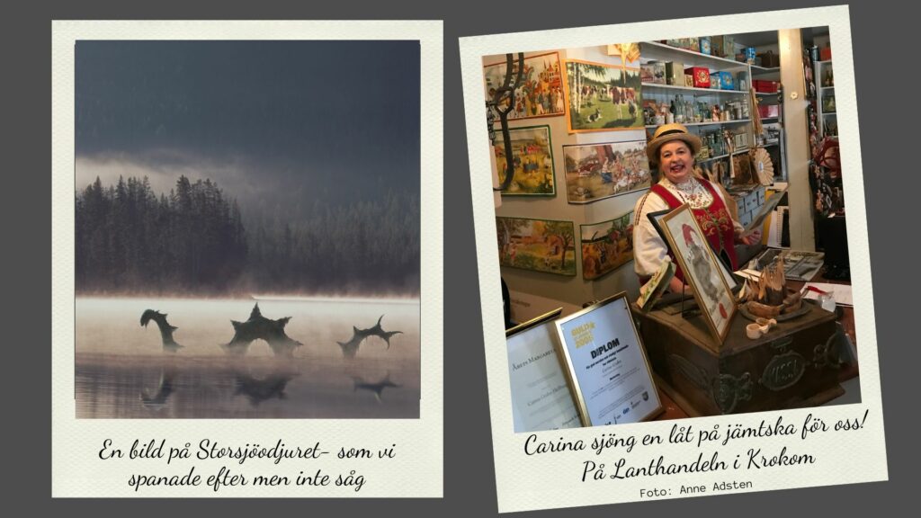 Storsjöodjuret Gamla lanthandeln i Krokom