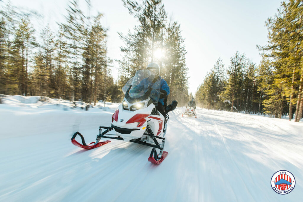 Elskoter Åreguiderna 2023