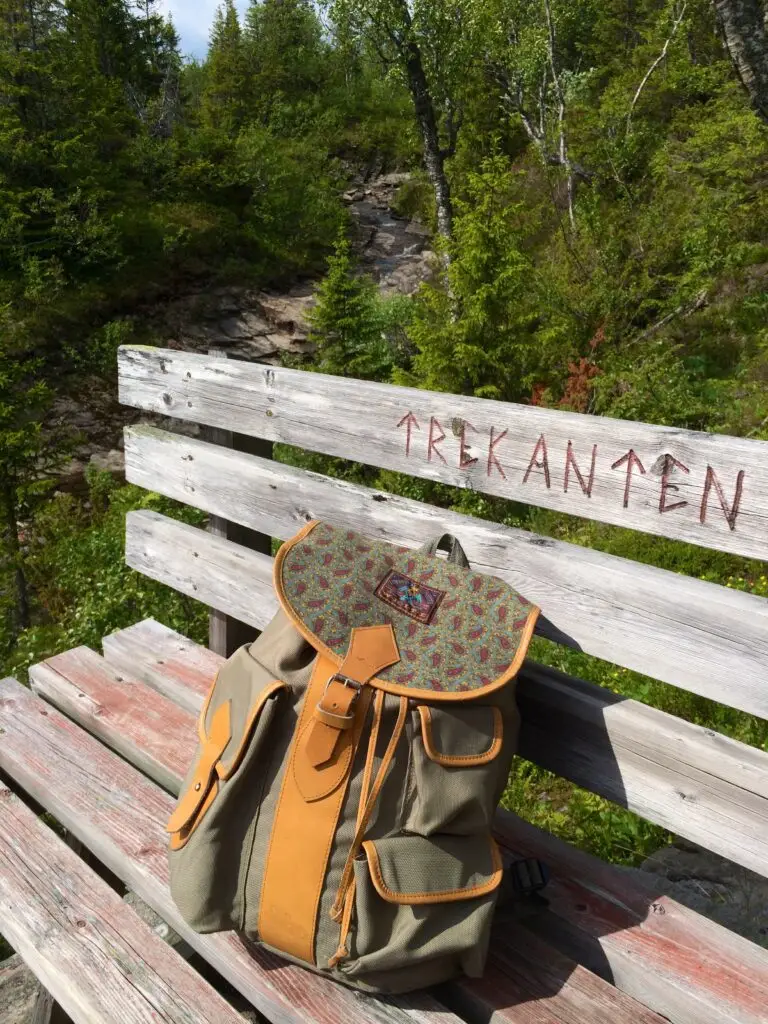 Blomsterleden i Storlien. Foto: Anne Adsten