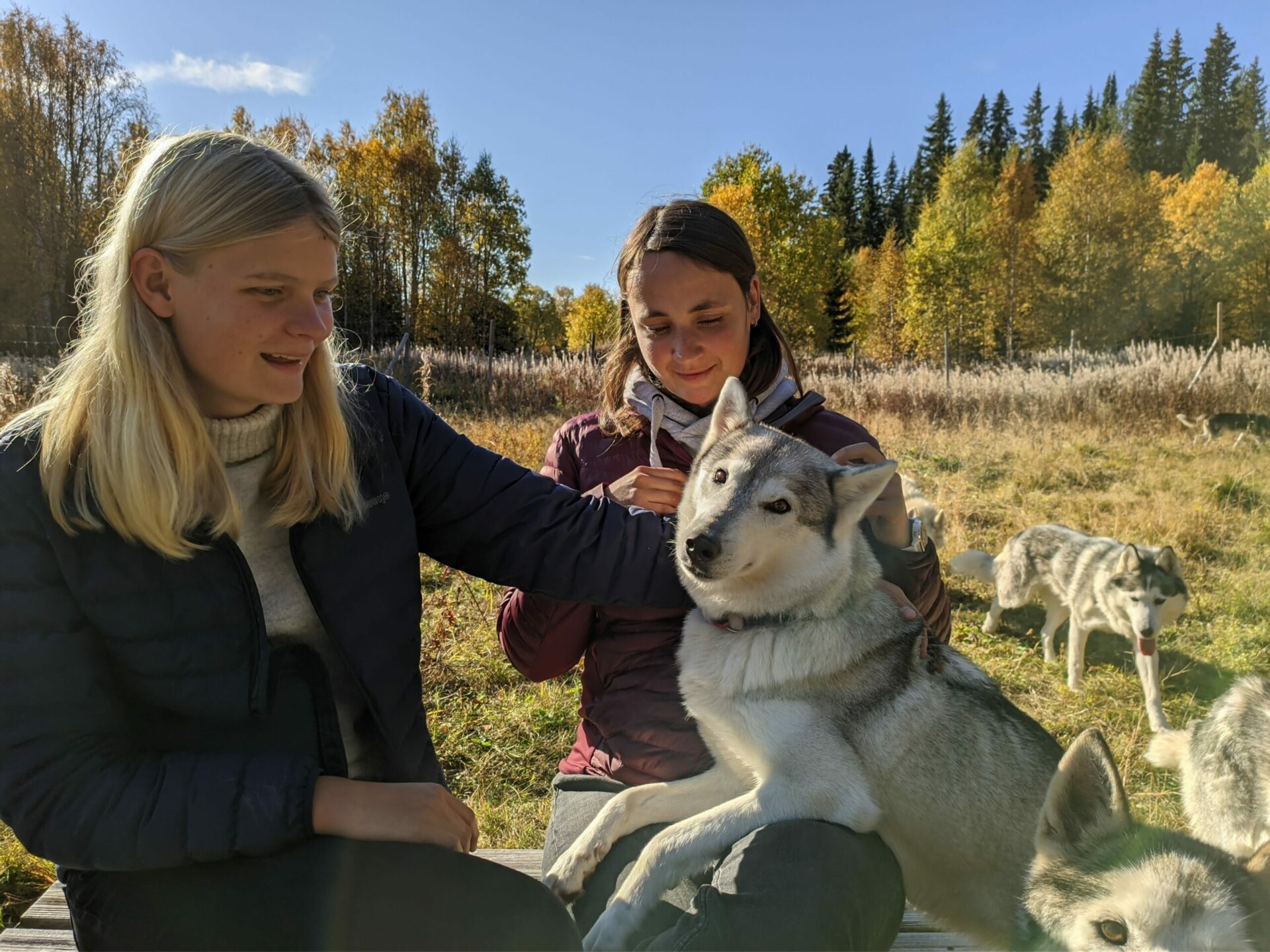 Nordic Husky Farm Wilderness Road