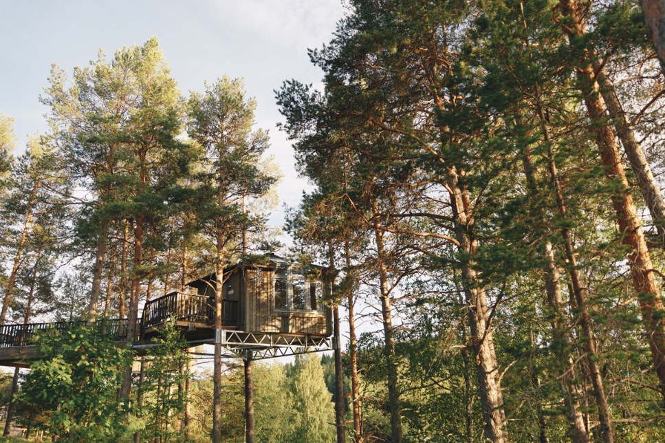 Roundtrip to Wilderness Road. Granö Beckasin outside Umeå. Photo: Bea Holmberg