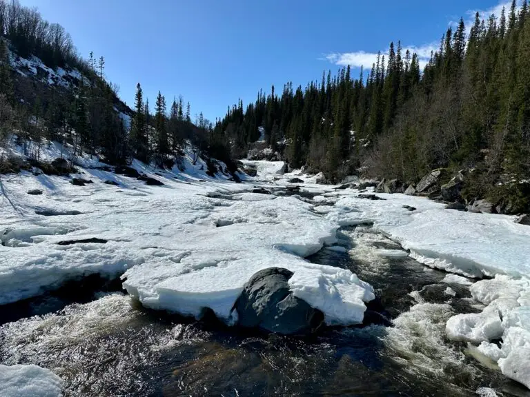 Handölsforsen vårvinter