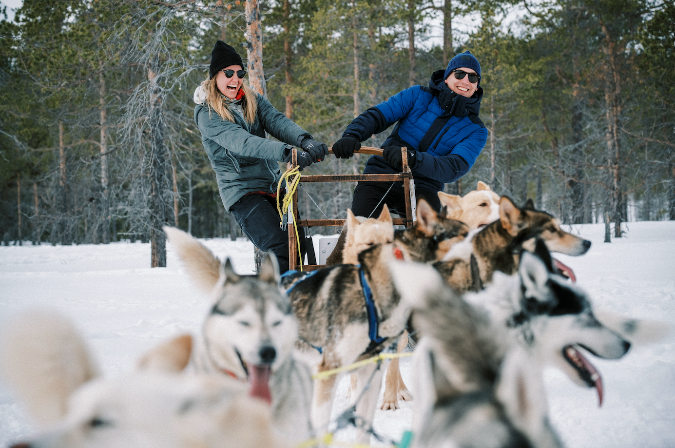 Dog sled winter fun Darren Hamlin