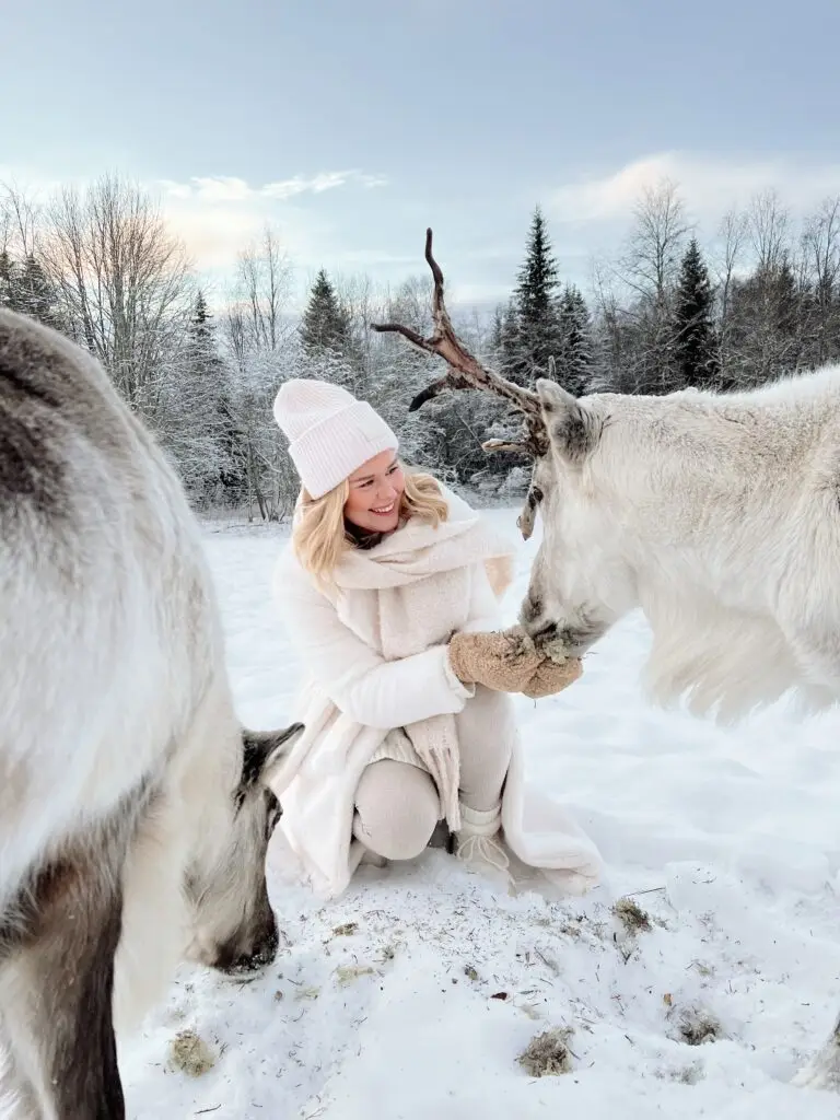 Var med och träffa renar hos Ullis & Rudolf i Kluk, Mattmar.