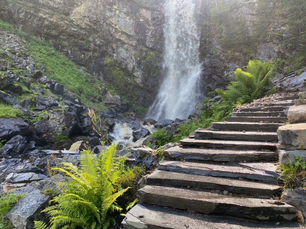 Fettjeåfallet_Andreas