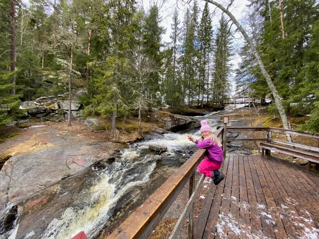 Glösa. Photo: Andreas Edholm.