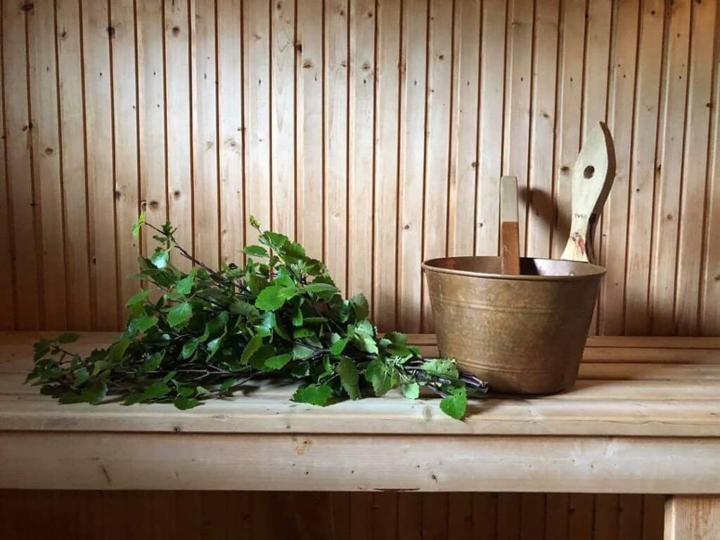 Bastubild Fjällhornet Ljungdalsfjällen Eva Åslund