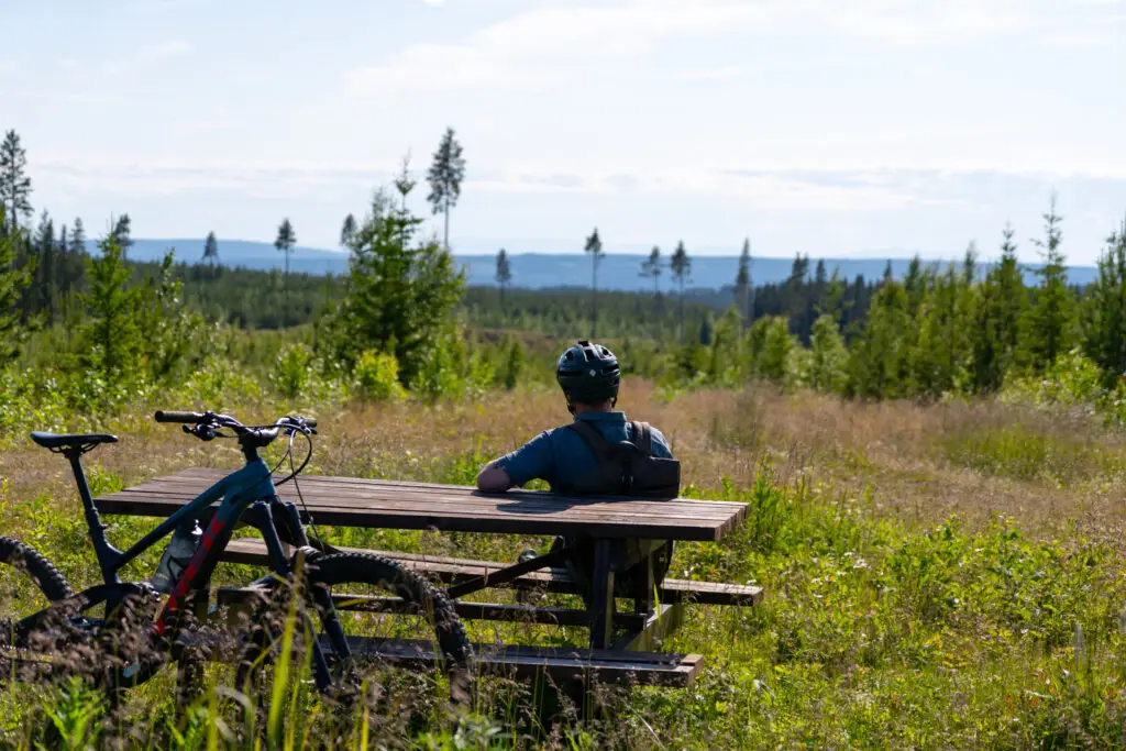 Photo: Sebastian Peterson.