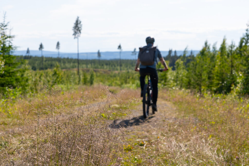 Photo: Sebastian Peterson. Östersåsen