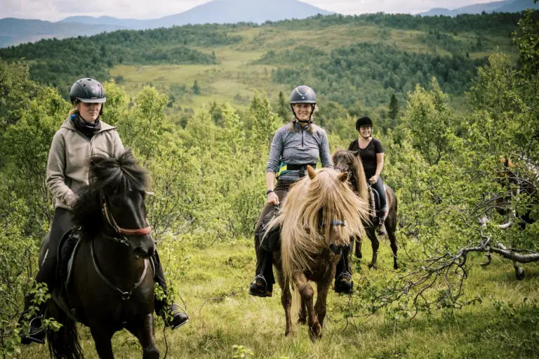 Riding mountains Jämtland Härjedalen Darren Hamlin