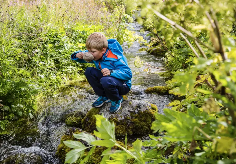 Drink water from creek Lofsdalen hike