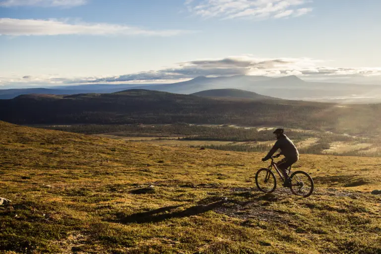 Biking Lofsdalen