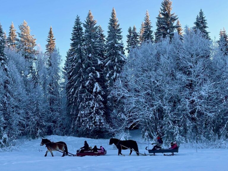 Basecamp Norråker vinter häst släde