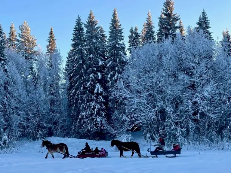 Basecamp Norråker vinter häst släde