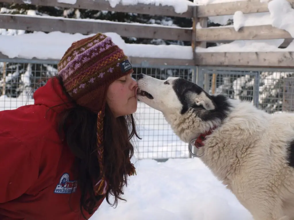 Nordic Husky Farm Wilderness Road