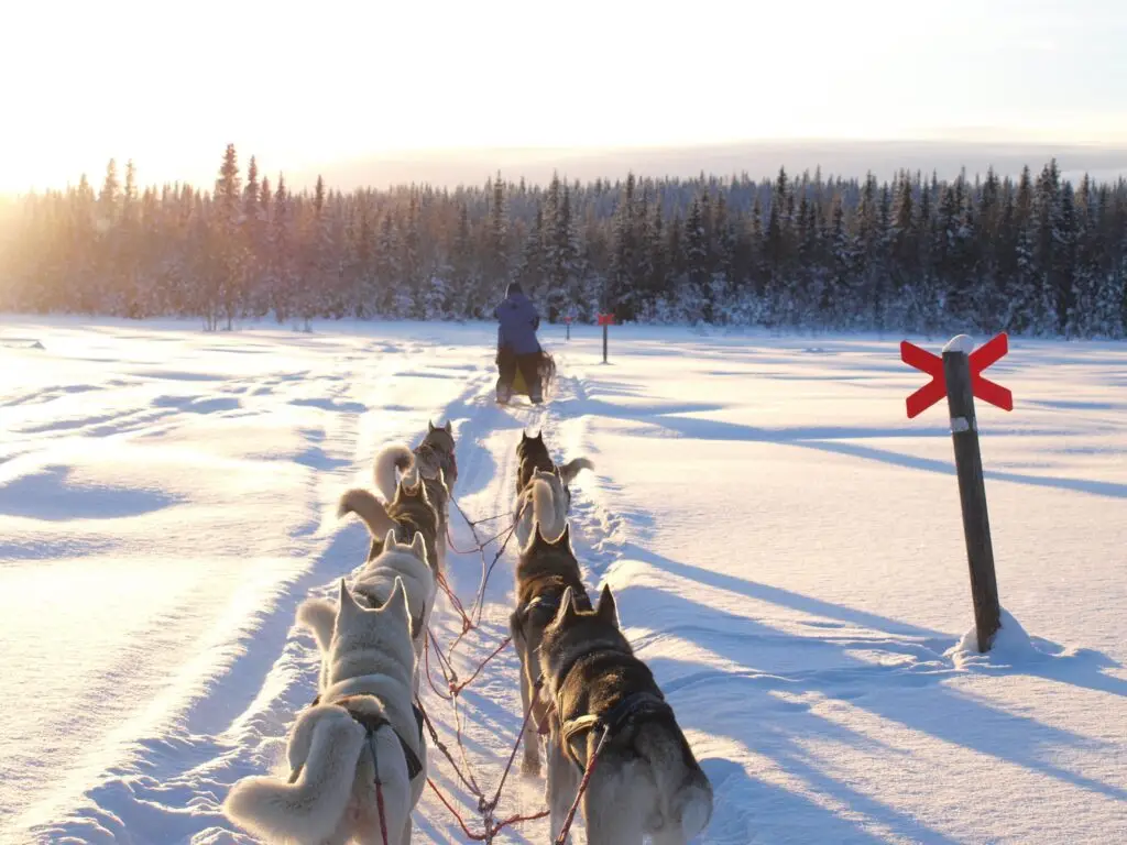 Nordic Husky Farm Wilderness Road