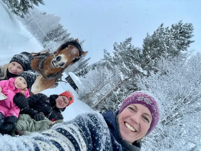 Basecamp Norråker vinter häst släde