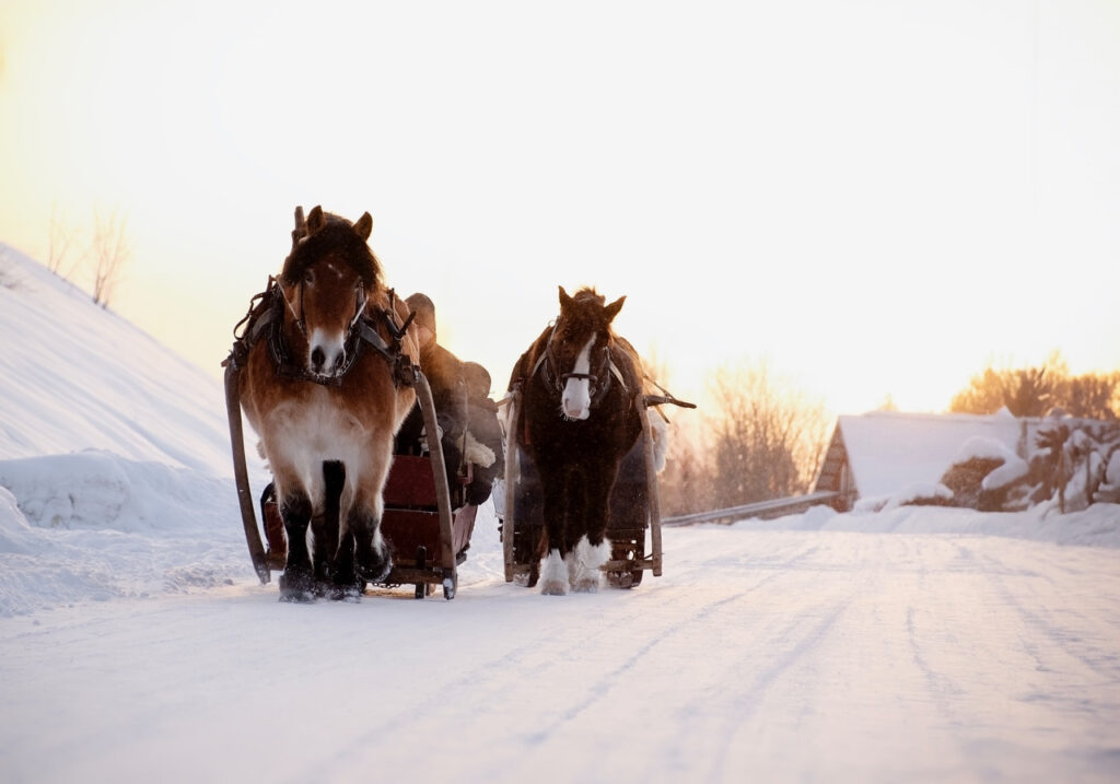 Basecamp Norråker vinter häst släde