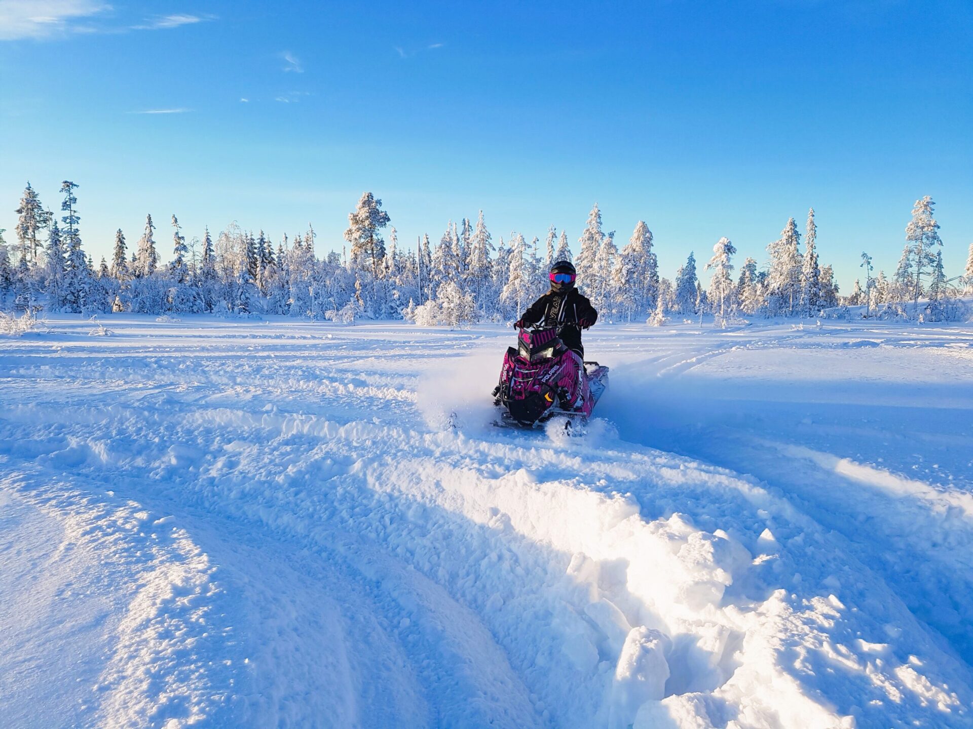 Skoteråkning Frostviken friåkningsområde