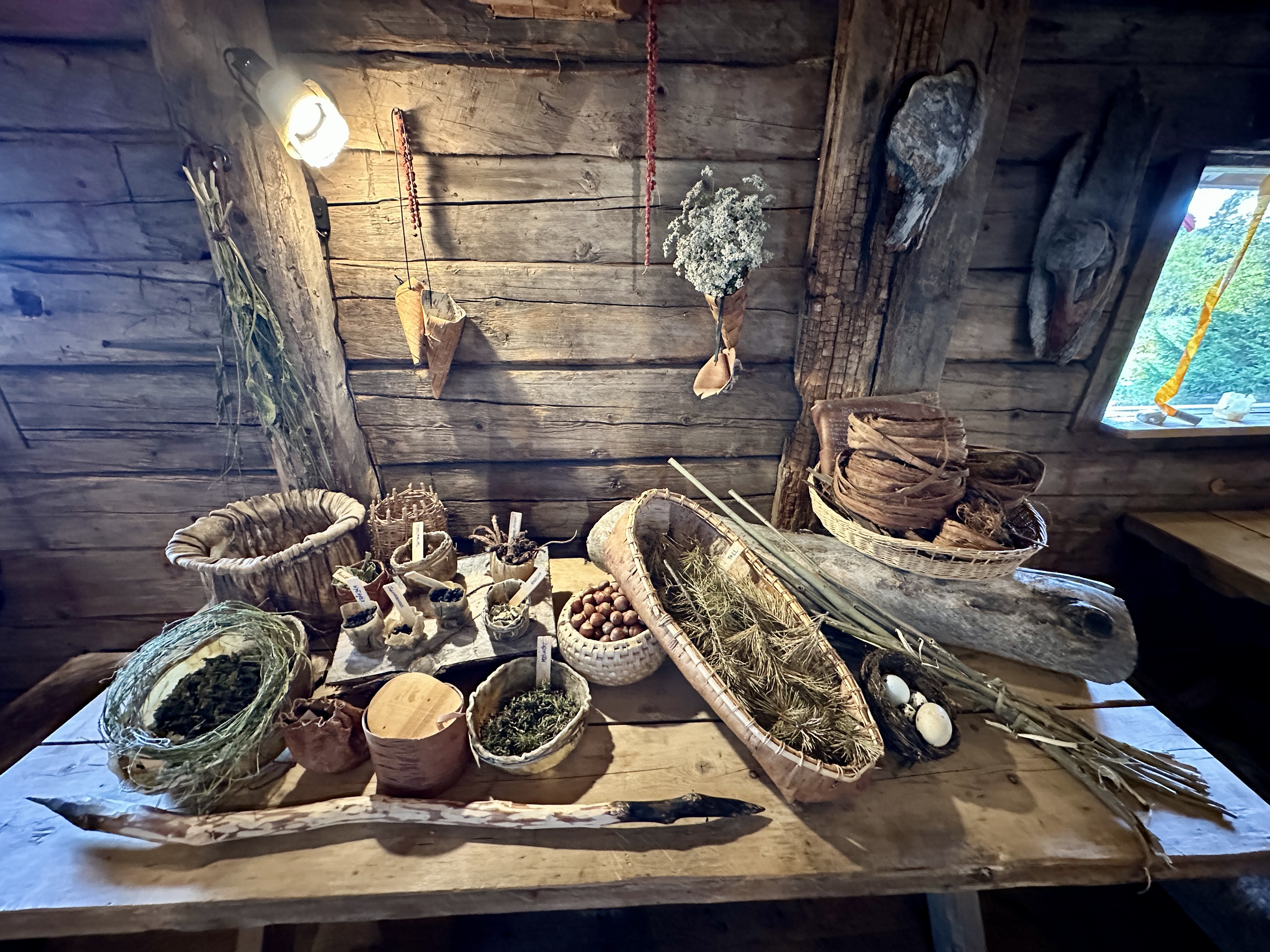 Stenåldersmat i Älghallen Glösa älgrike