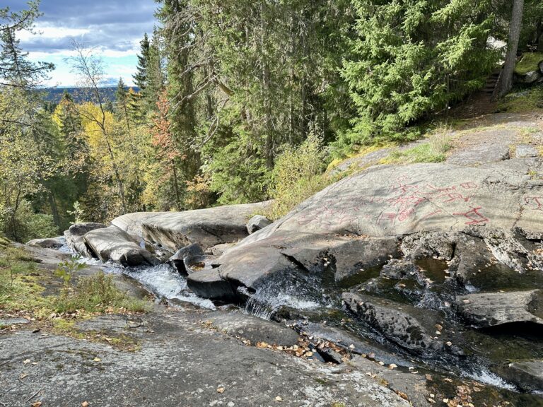 Glösa hällrisningar utsikt
