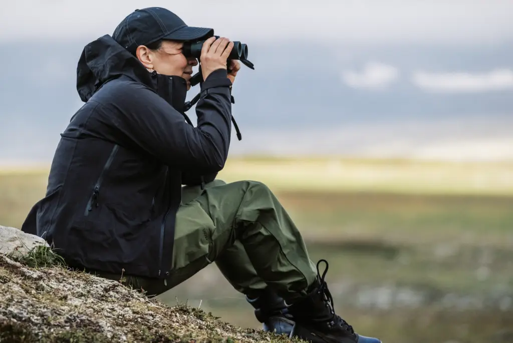 Viltsafari Vildmarksvägen Darren Hamlin