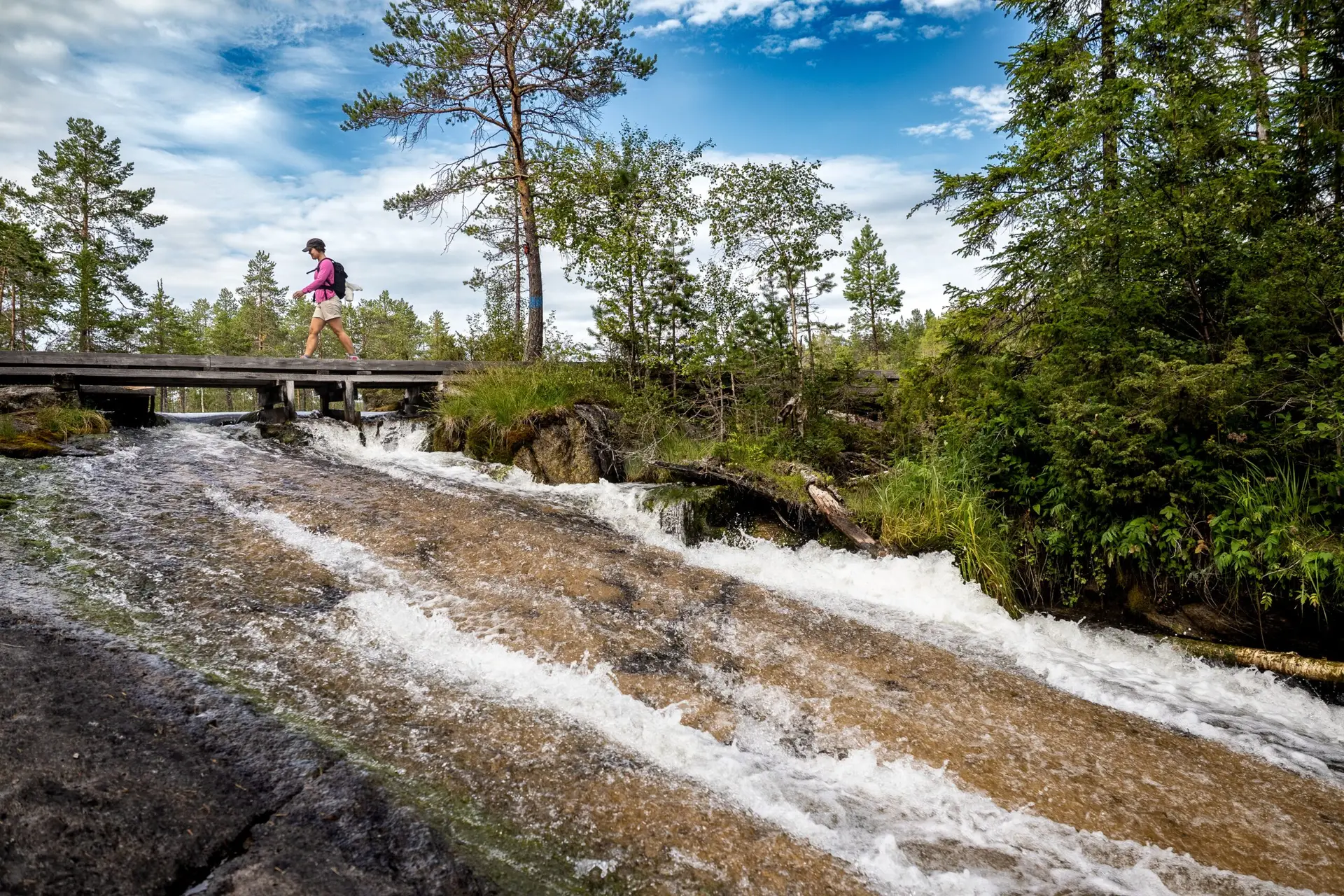 Forsaån. Foto: Per Danielsson