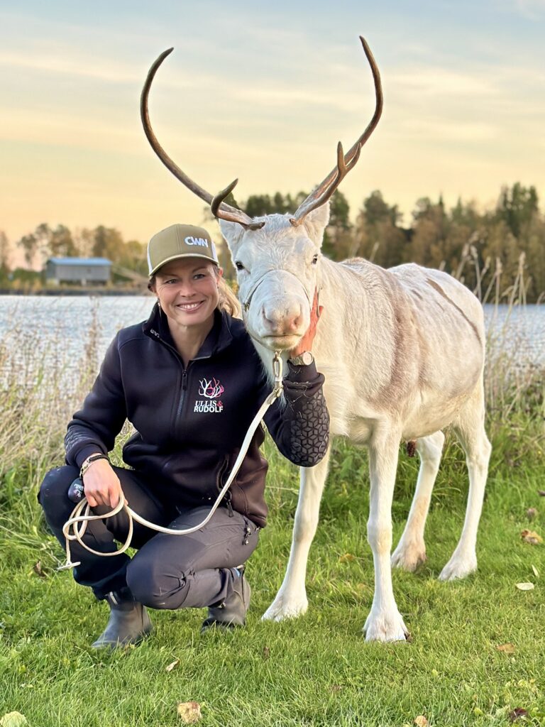 Ullis & Rudolf guided reindeer tours