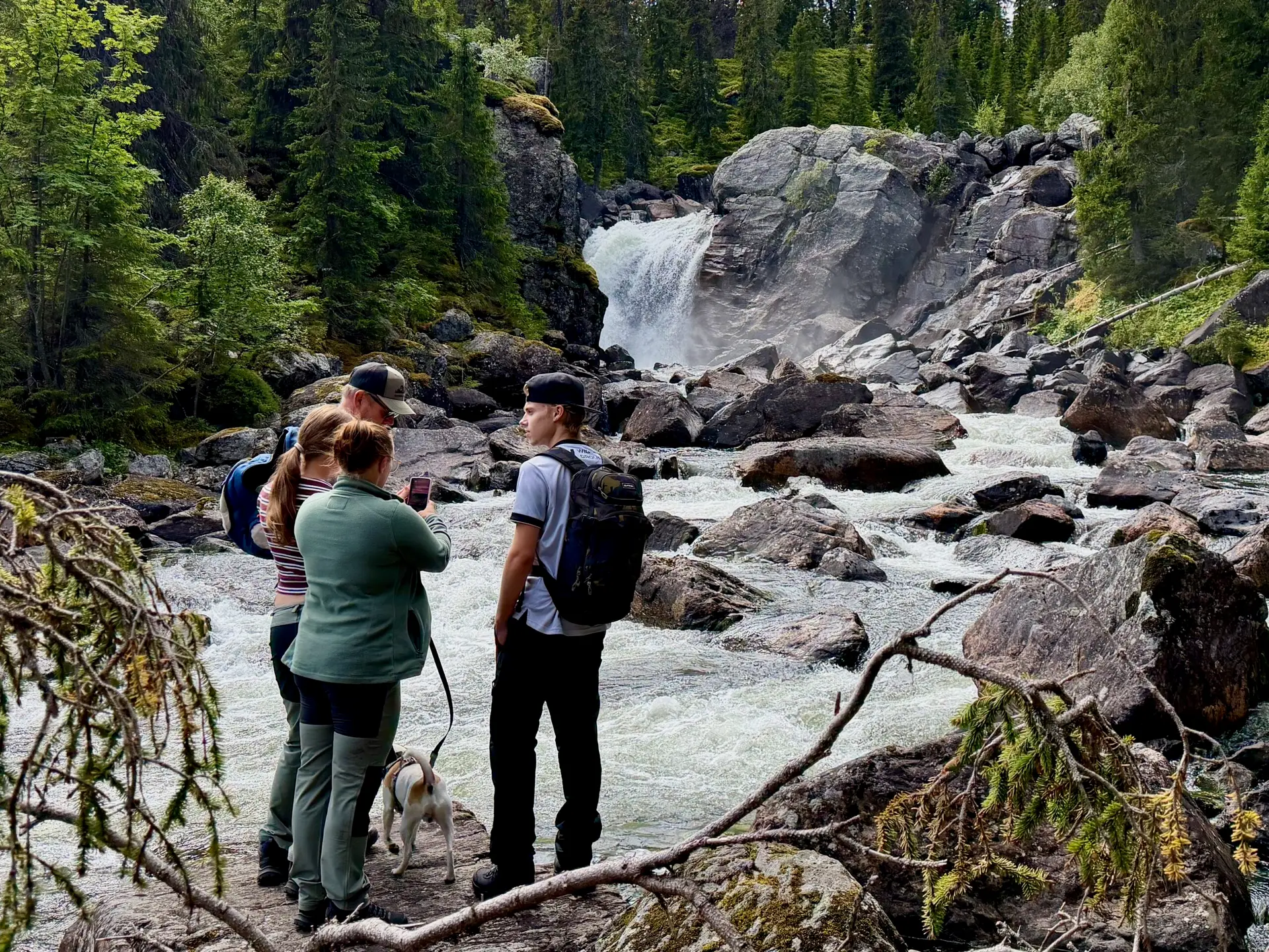 Storfalletleden Höglekardalen. Foto: Andreas Edholm